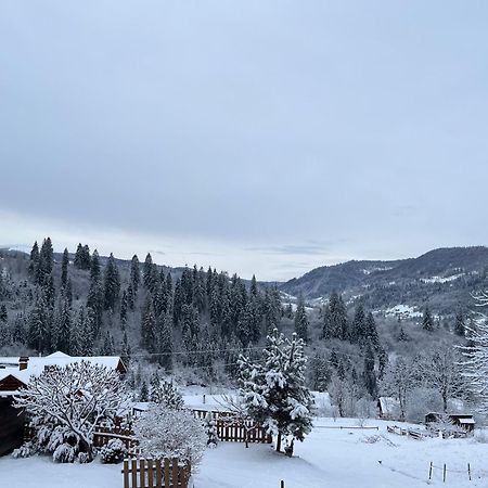 Hirska Vatra Villa Slavske Eksteriør billede